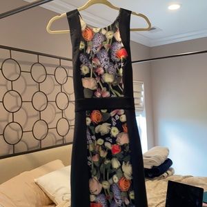 Ted Baker dress worn once